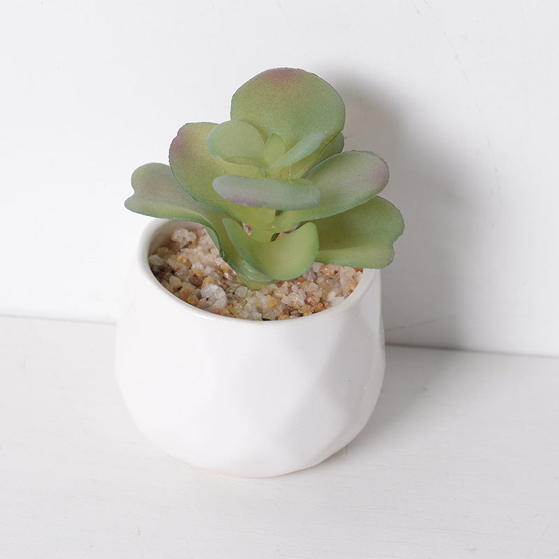 Artificial succulent plants wholesale green plants