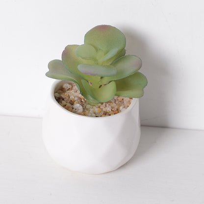Artificial succulent plants wholesale green plants