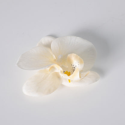 Filme de simulação de pétalas de cabeça de flor de orquídea Phalaenopsis 