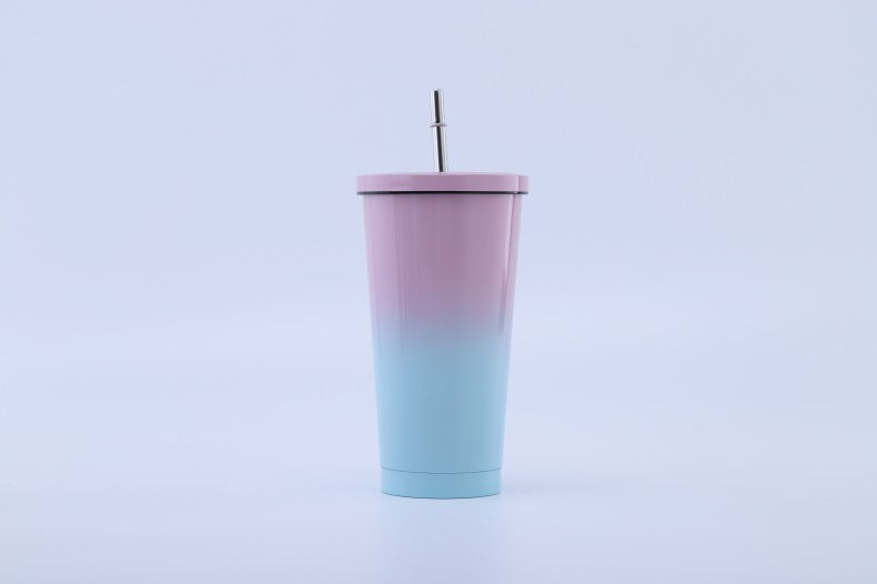 304 Stainless Steel Straw Bottle