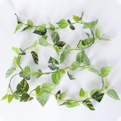 Simulation film green radish vines
