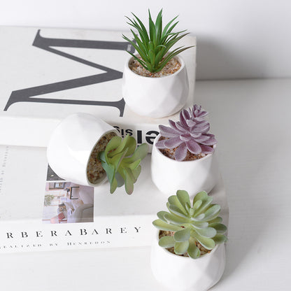 Artificial succulent plants wholesale green plants