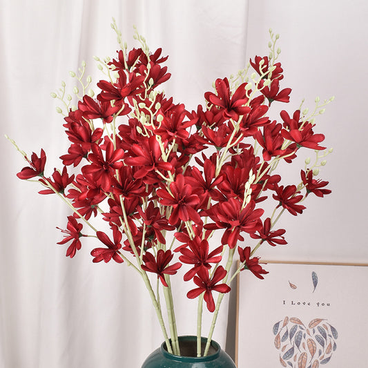 Simulación de Nueva Magnolia No. 1 Magnolia Europea 