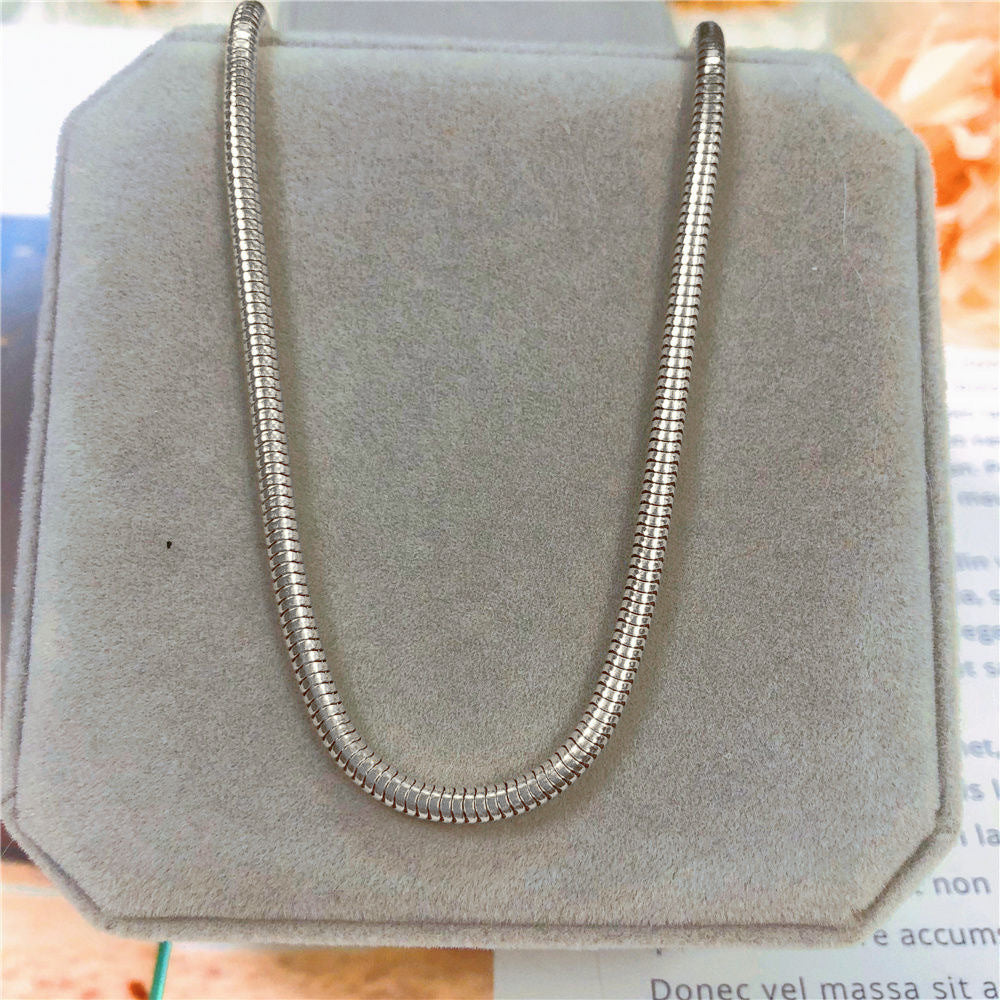 Minimalist Titanium Steel Snake-Bone Collar Necklace