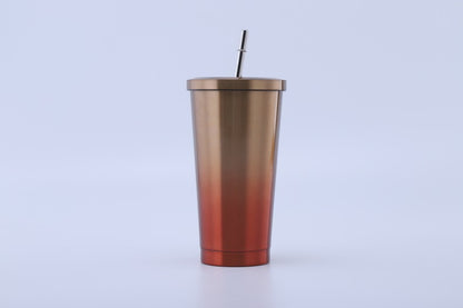 304 Stainless Steel Straw Bottle