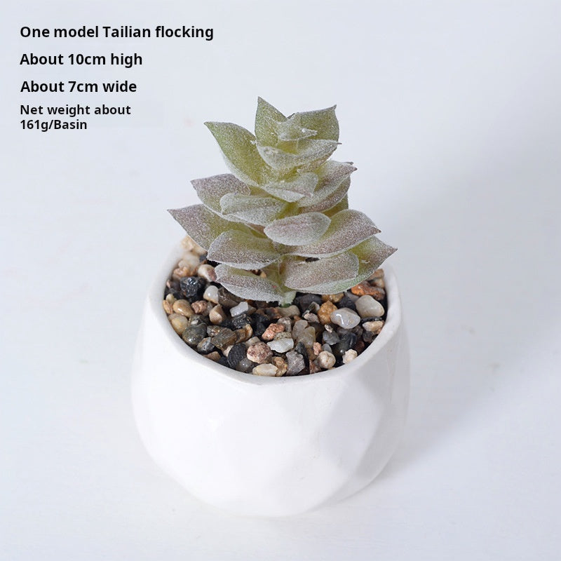 Artificial succulent plants wholesale green plants
