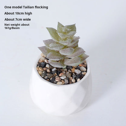 Artificial succulent plants wholesale green plants
