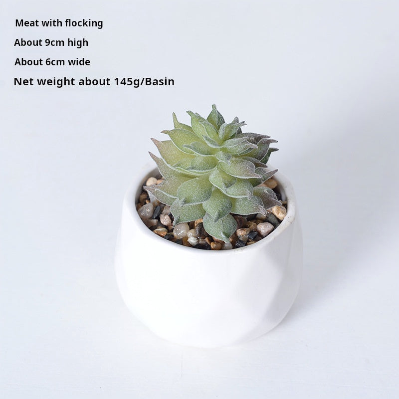 Artificial succulent plants wholesale green plants