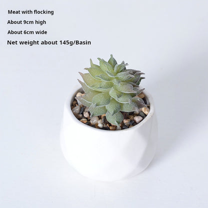 Artificial succulent plants wholesale green plants