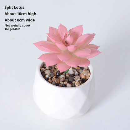 Artificial succulent plants wholesale green plants