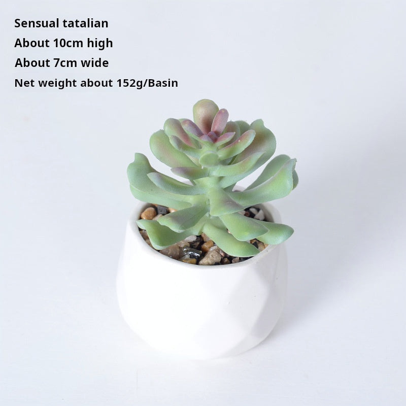 Artificial succulent plants wholesale green plants