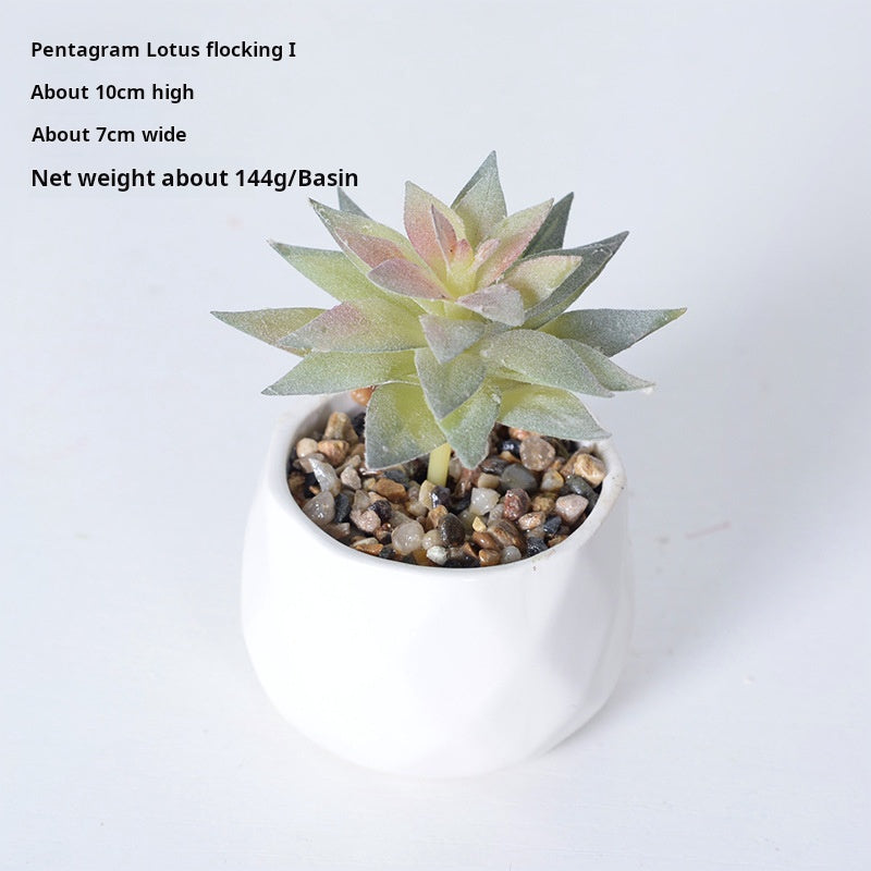 Artificial succulent plants wholesale green plants
