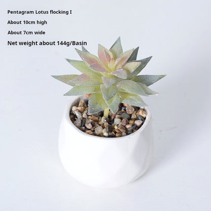Artificial succulent plants wholesale green plants
