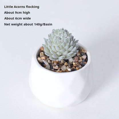 Artificial succulent plants wholesale green plants