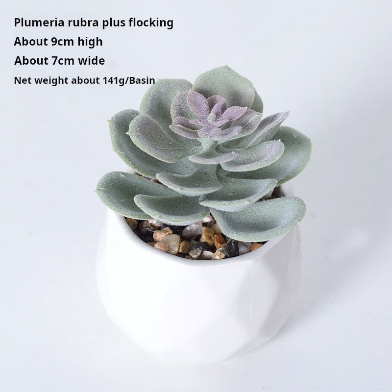 Artificial succulent plants wholesale green plants
