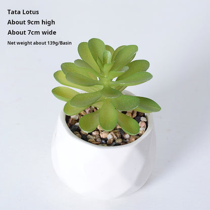 Artificial succulent plants wholesale green plants