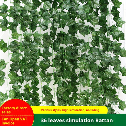 36 green leaves of vines, grape leaves, green radish leaves