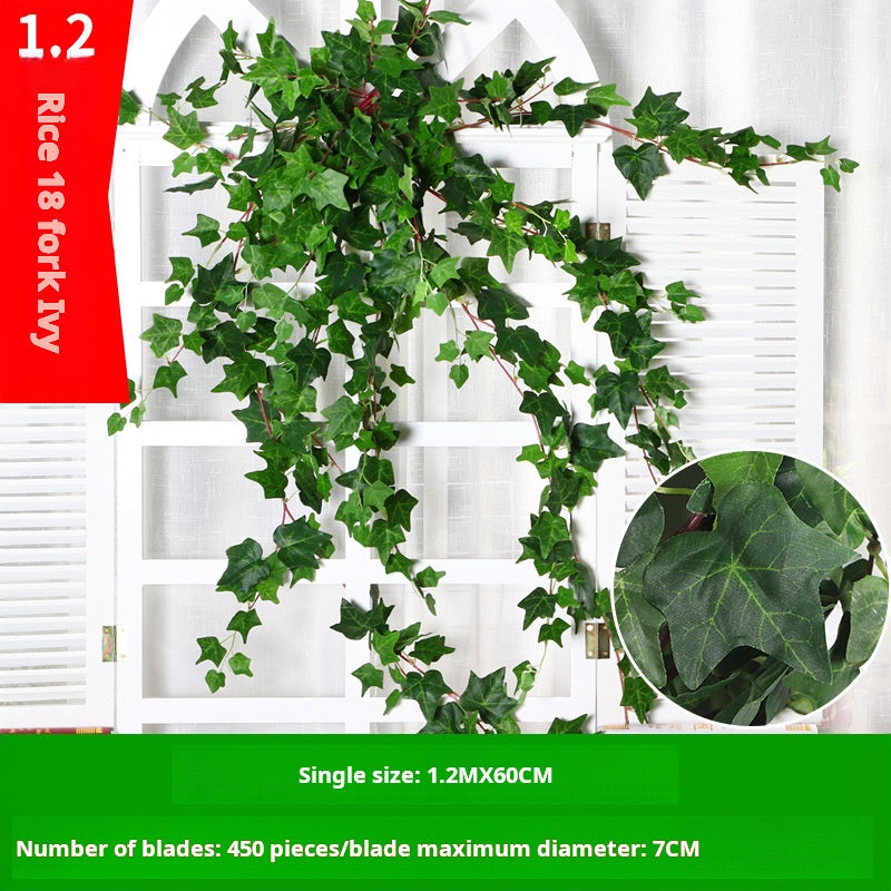 Hiedra horquilla 1,2m18 