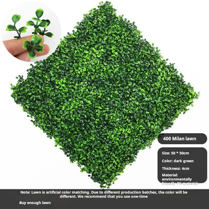 400 heads of encrypted sun-proof Milan lawn