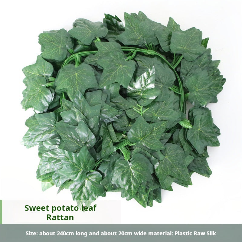 36 green leaves of vines, grape leaves, green radish leaves