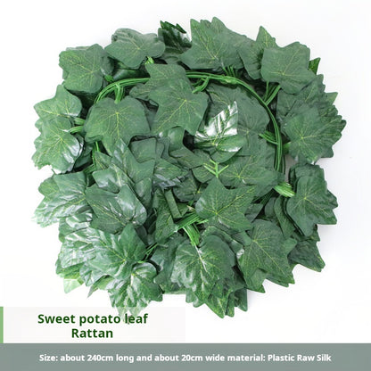 36 green leaves of vines, grape leaves, green radish leaves