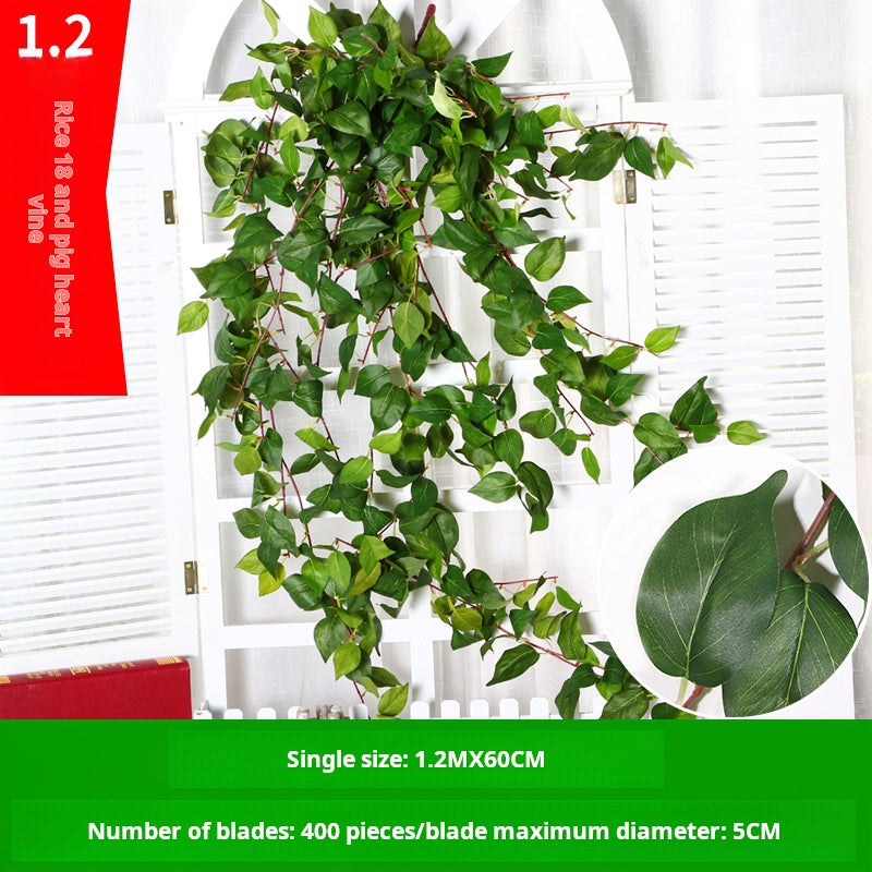 Hiedra horquilla 1,2m18 