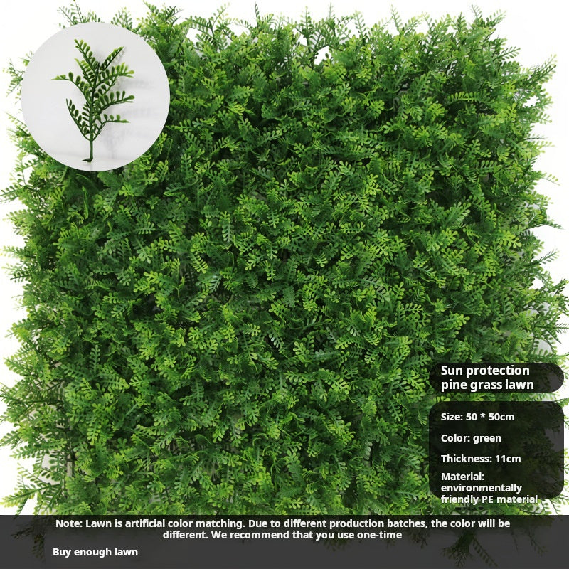 Sunscreen pine grass lawn outdoor plant wall