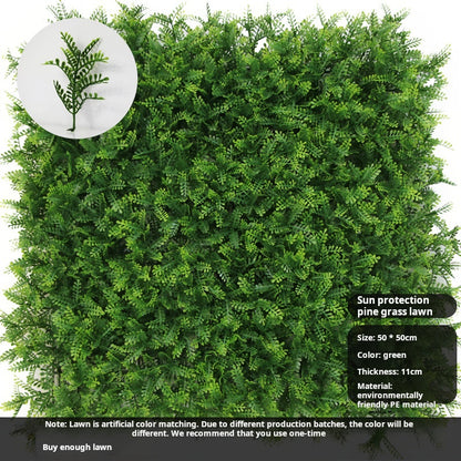 Sunscreen pine grass lawn outdoor plant wall