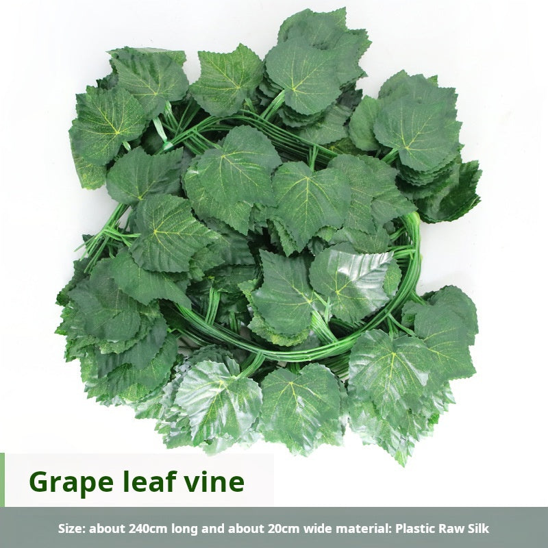 36 green leaves of vines, grape leaves, green radish leaves