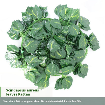 36 green leaves of vines, grape leaves, green radish leaves