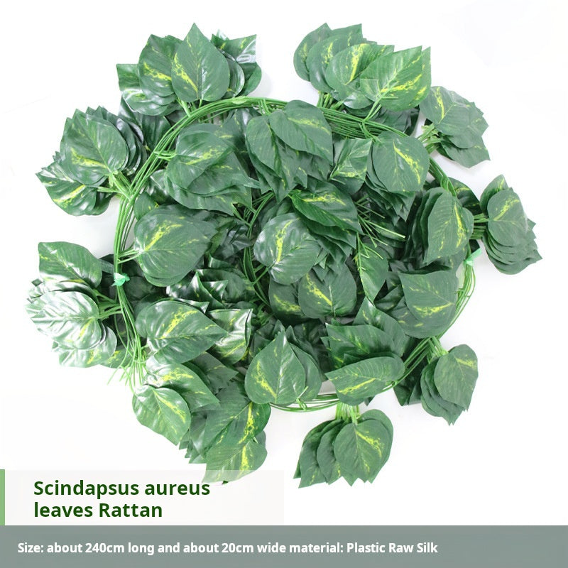 36 green leaves of vines, grape leaves, green radish leaves