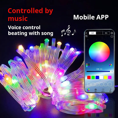 USB Bluetooth APP control LED colorful leather curtain light灯